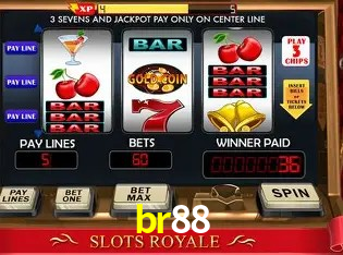 Security Systems br88