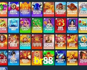 Platform Technology br88